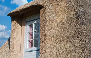 Scole thatch roof disadvantages